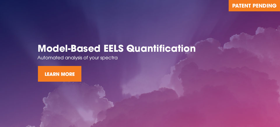 Model-based EELS Quantification