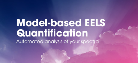 Model-based EELS Quantification